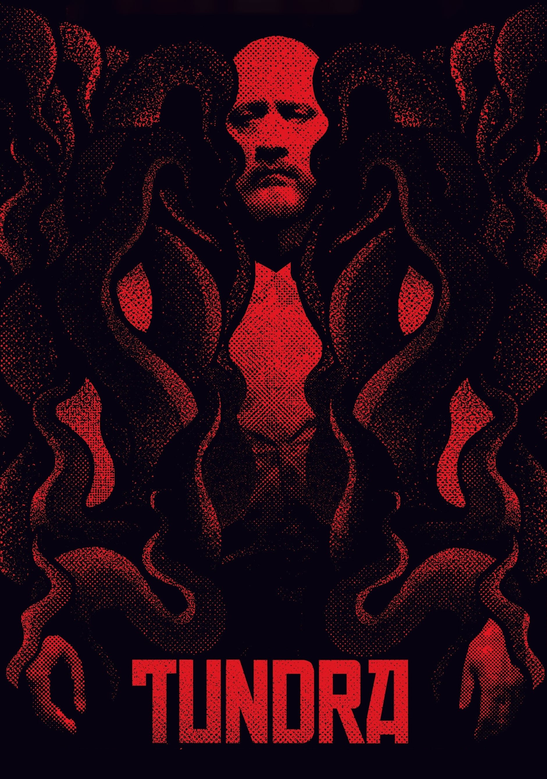 Poster de Tundra