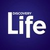 The Best Discovery Life TV Shows and Movies