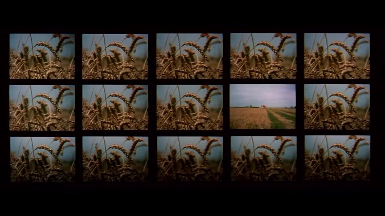 backdrops
