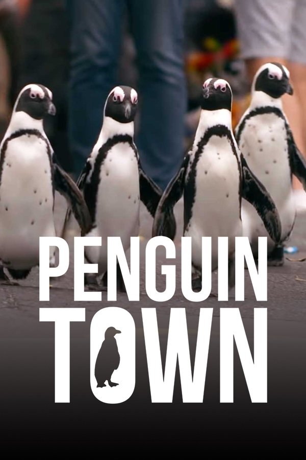 Poster de Cidade dos Pinguins