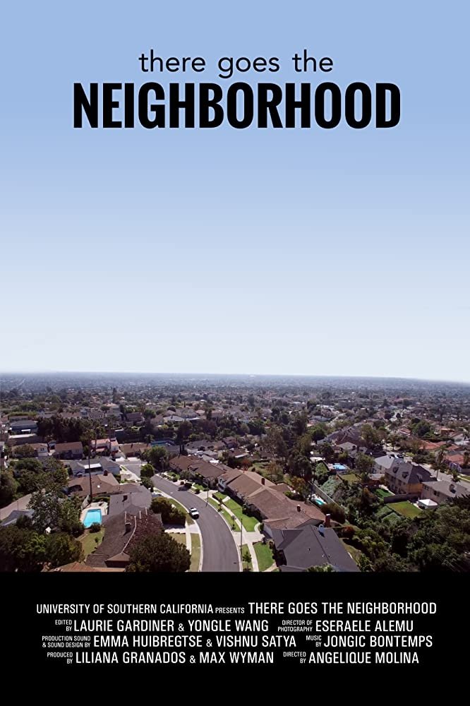 Poster de There Goes the Neighborhood