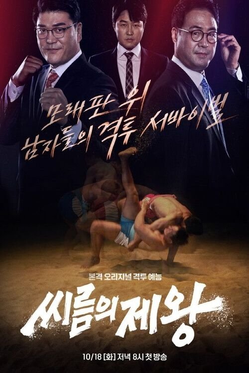 Poster de 씨름의 제왕