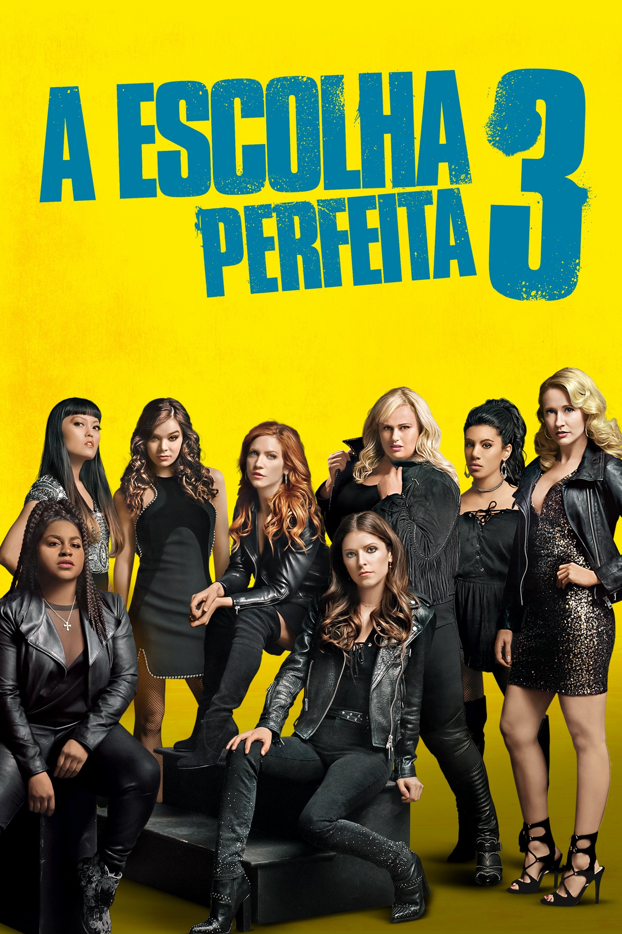 Poster de A Escolha Perfeita 3