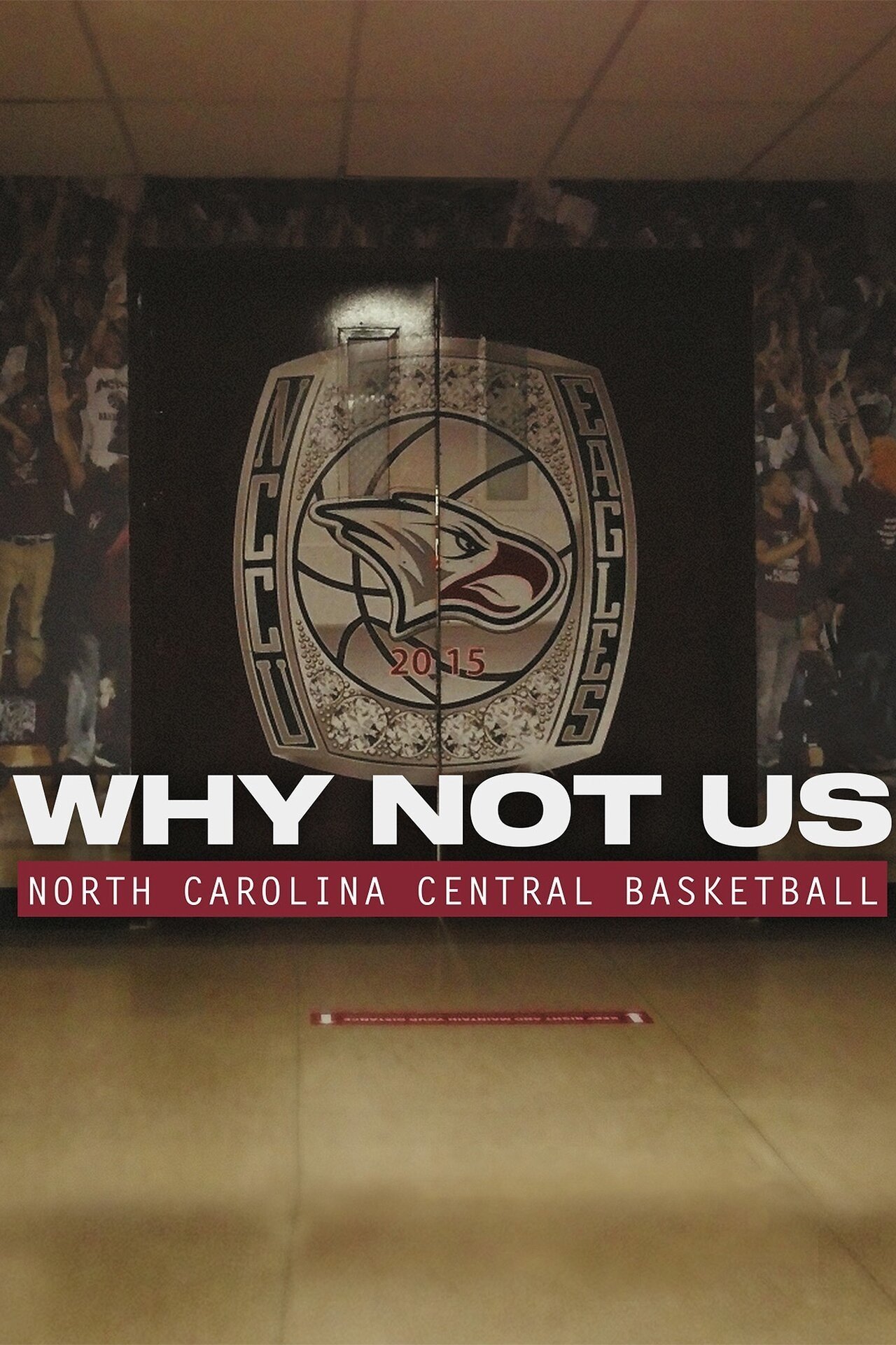 Poster de Why Not Us