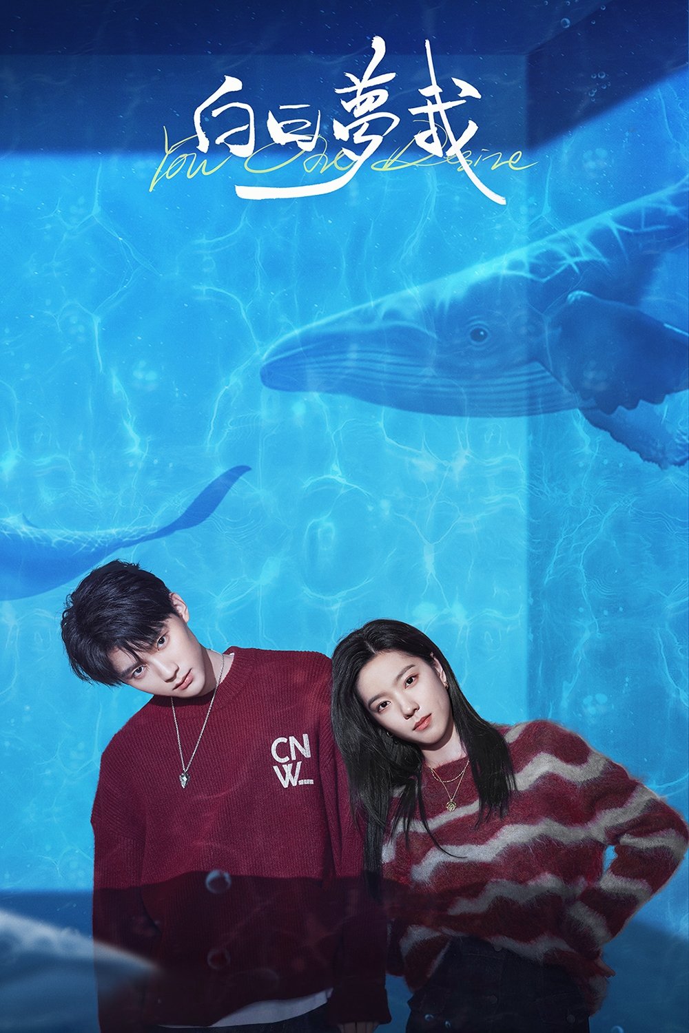 Poster de You Are Desire
