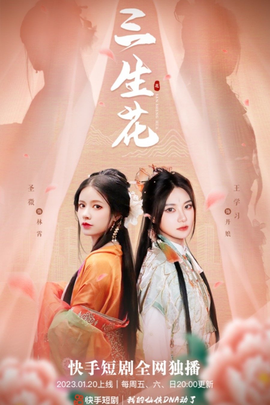 Poster de 三生花