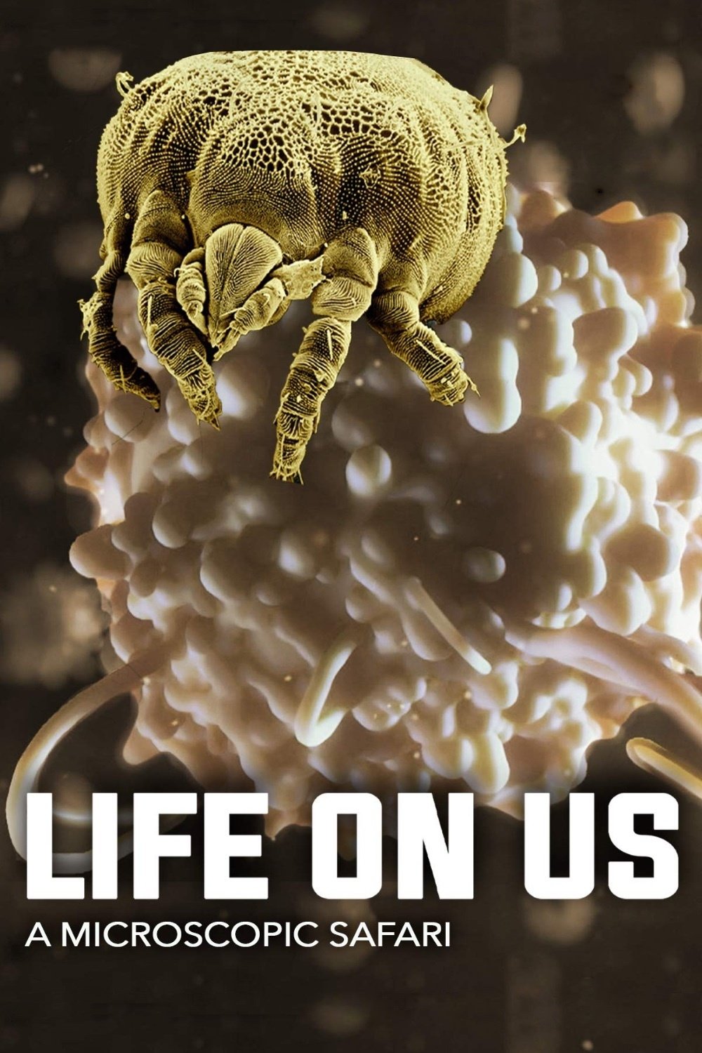 Poster de Life on Us: A Microscopic Safari