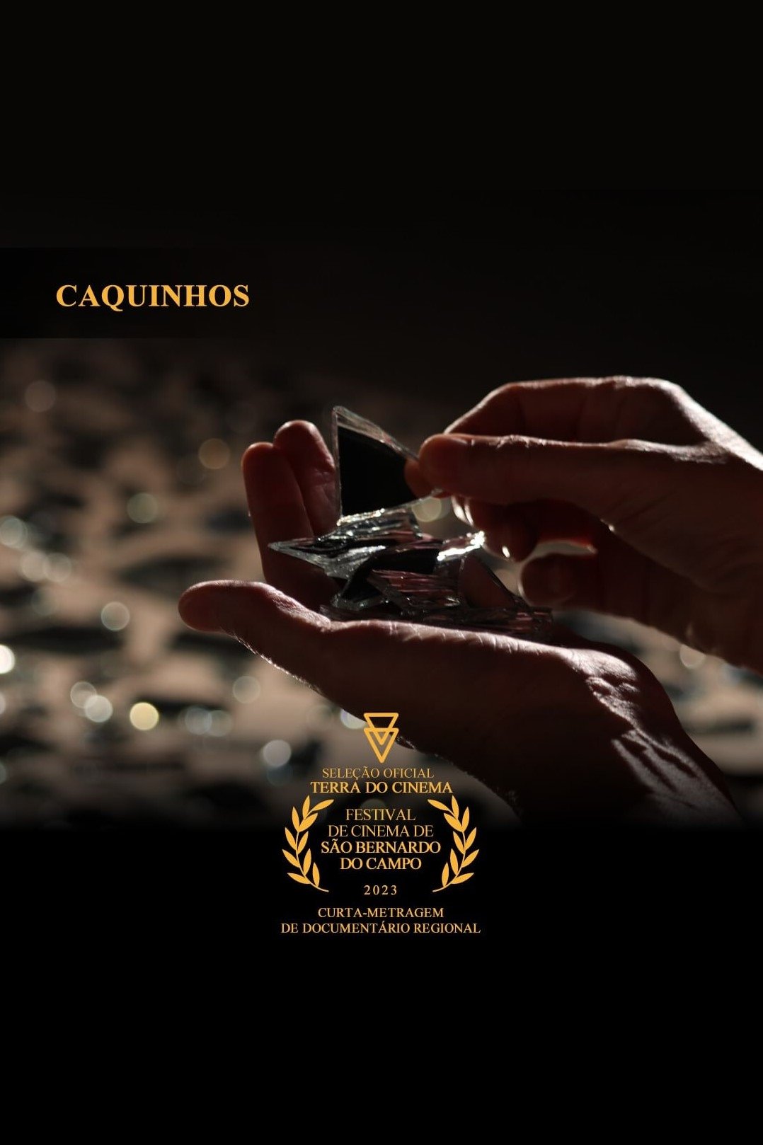 Poster de Caquinhos