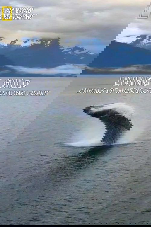 Living Wild: Animals of America’s National Parks