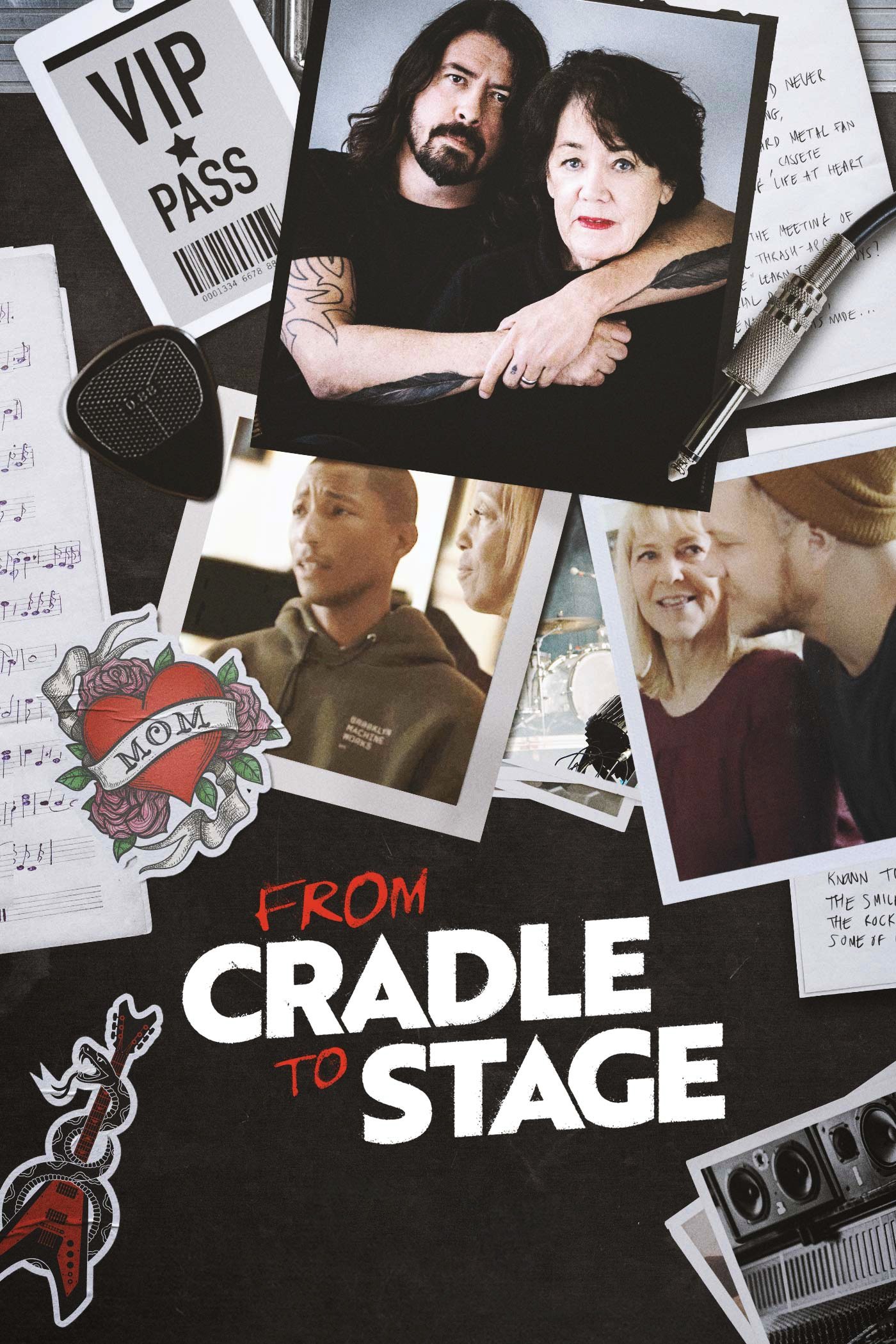 Poster de From Cradle to Stage