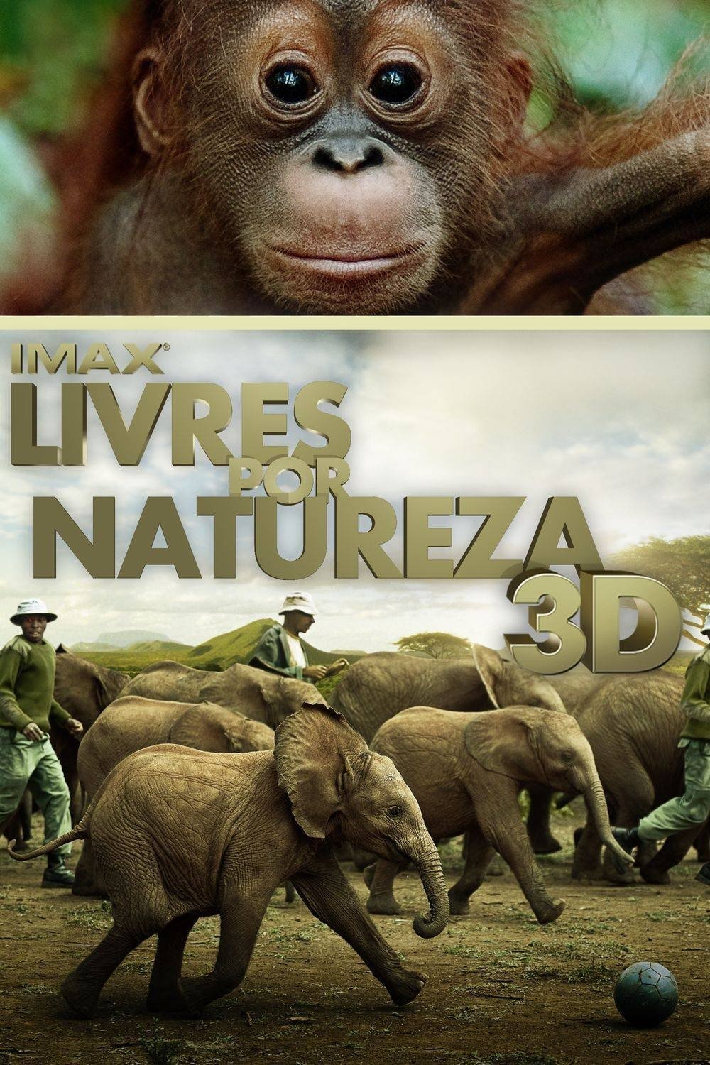Poster de Livres por Natureza