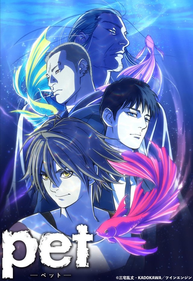 Poster de pet