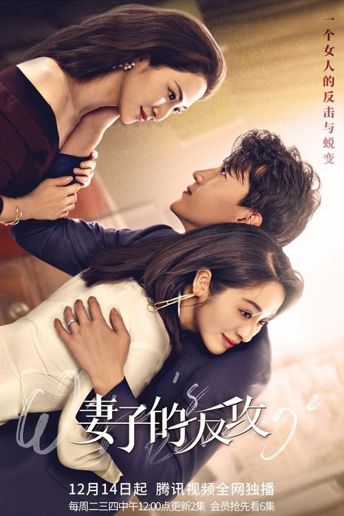 Poster de 妻子的反攻