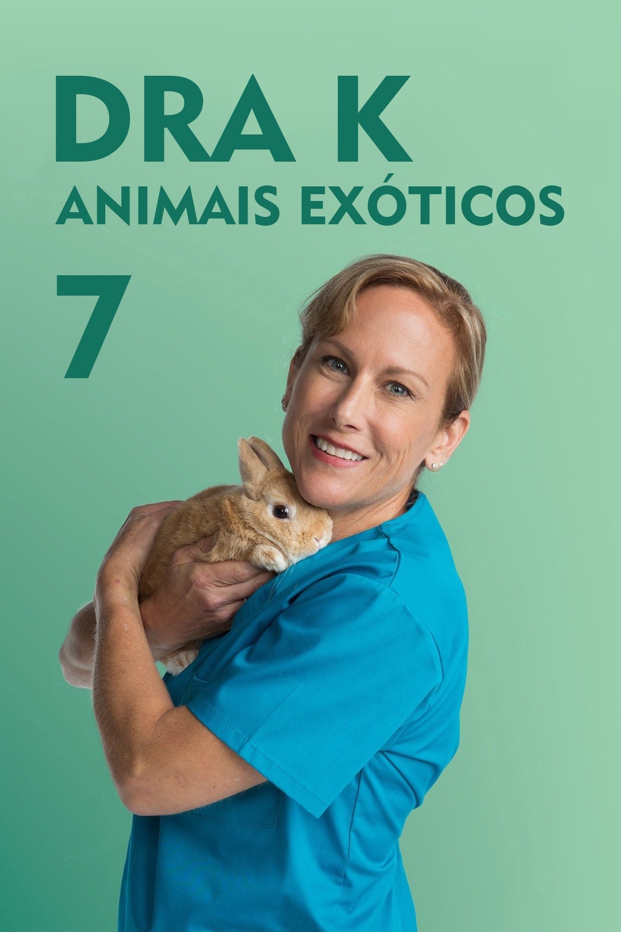 Poster de Temporada 7