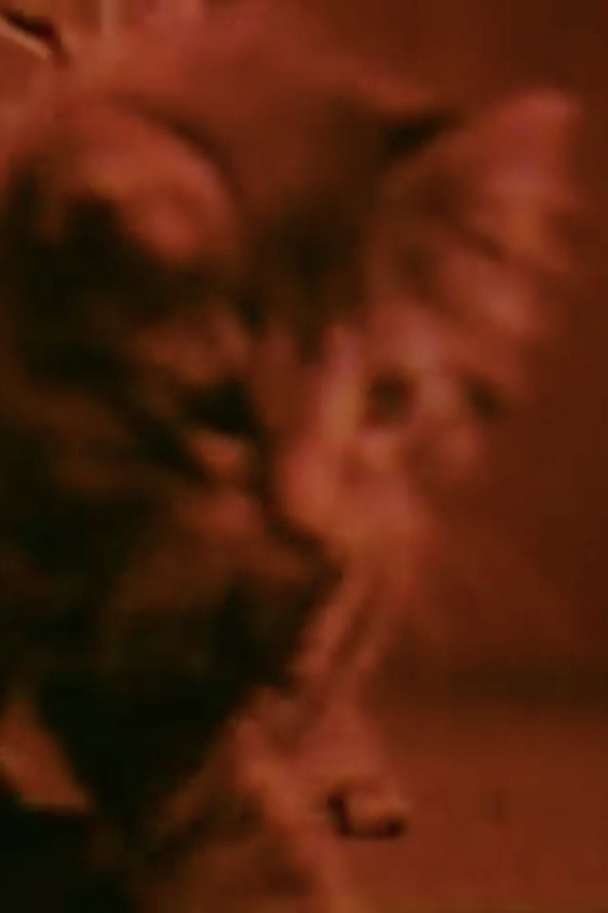 Poster de Kittens Grow Up