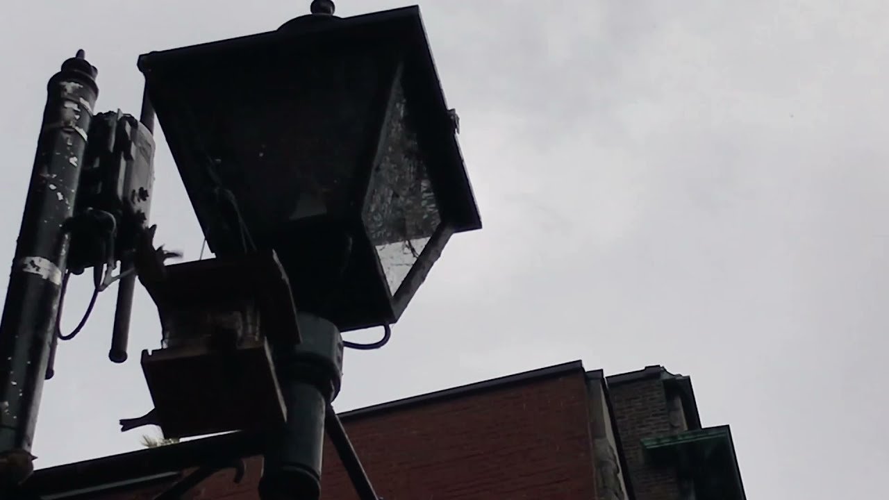 A gray day