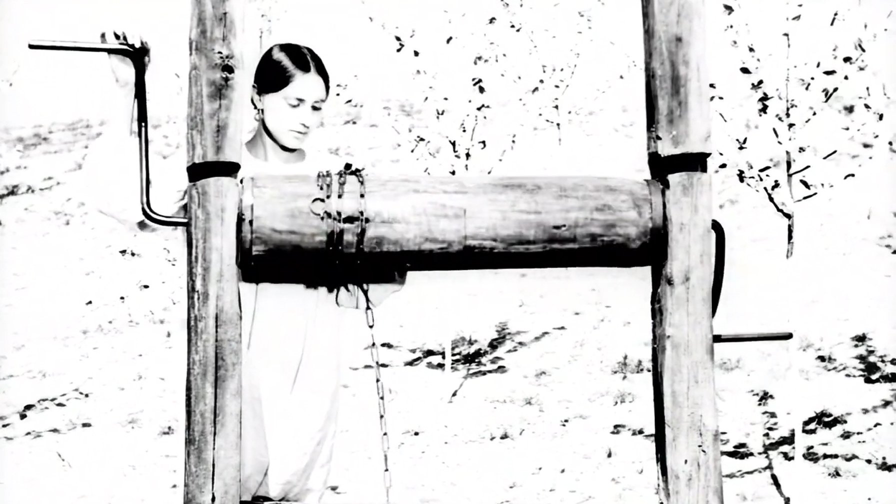 backdrops