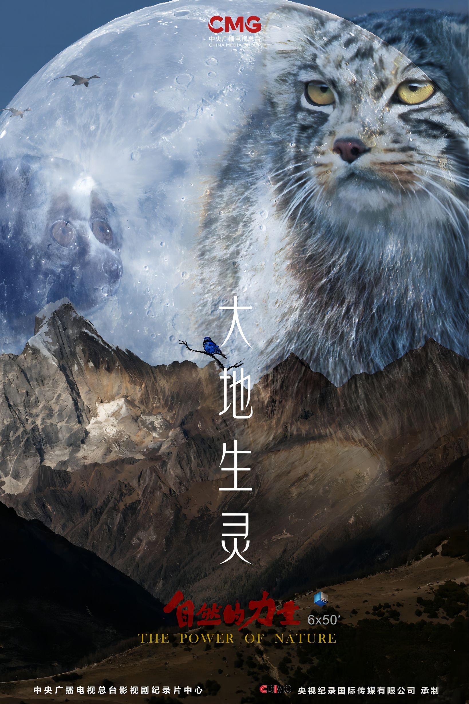 Poster de Temporada 2