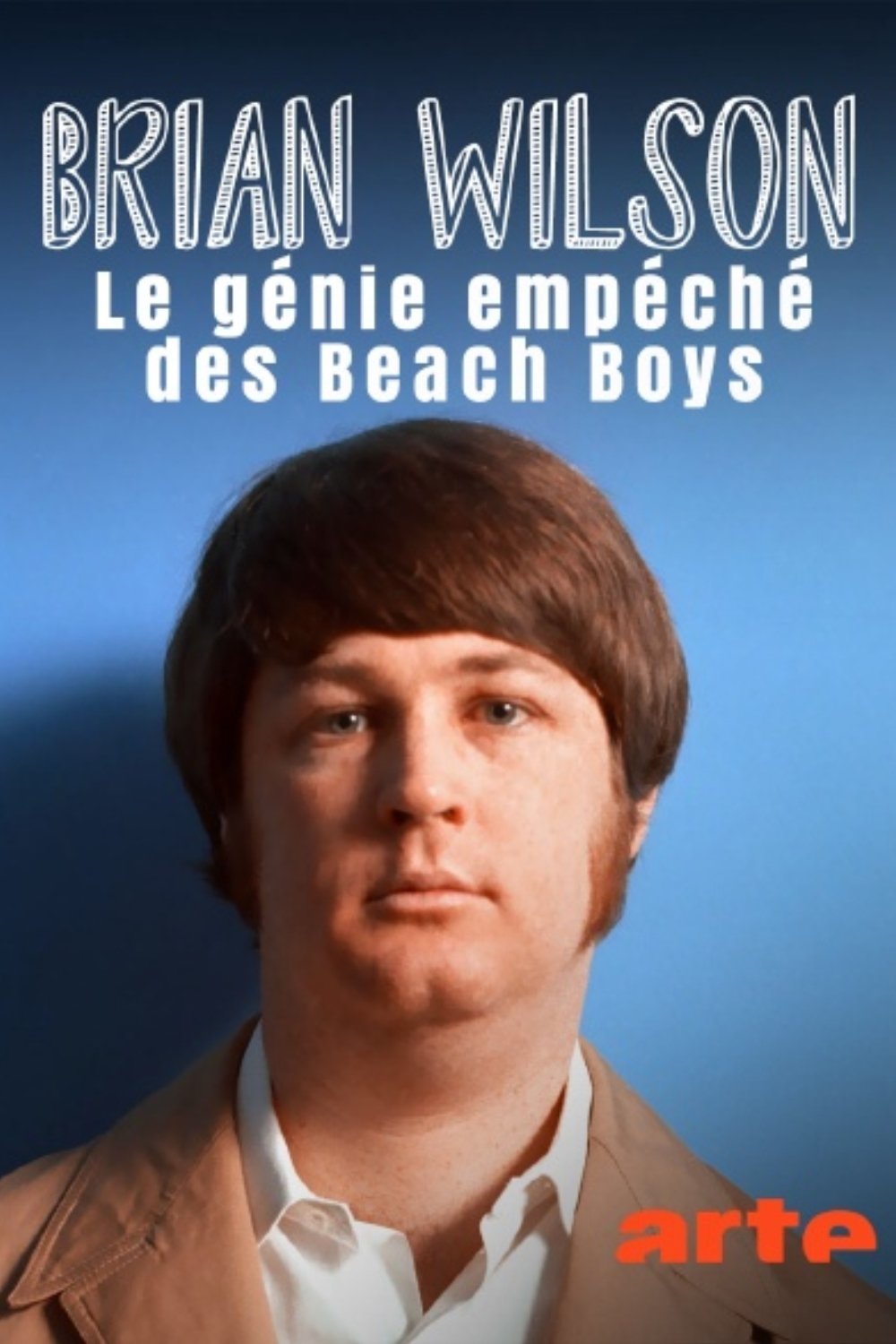Poster de Brian Wilson – Le génie empêché des Beach Boys