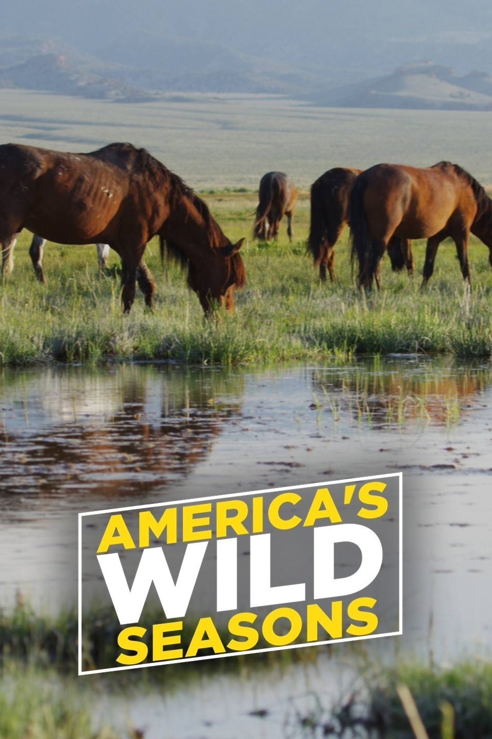 Poster de America's Wild Seasons