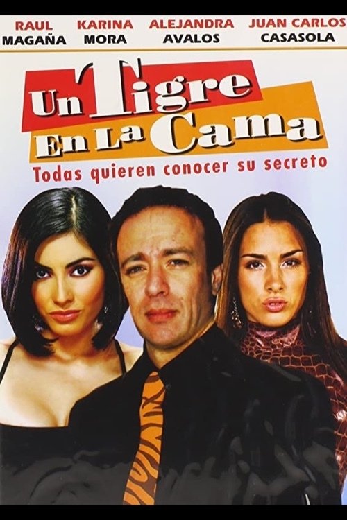 Poster de Un tigre en la cama
