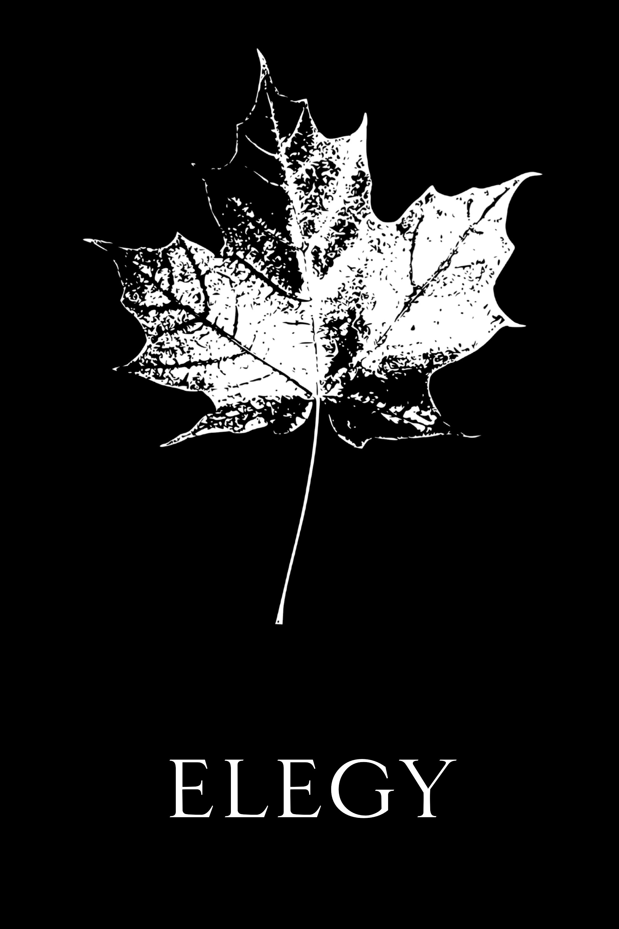 Poster de Elegy