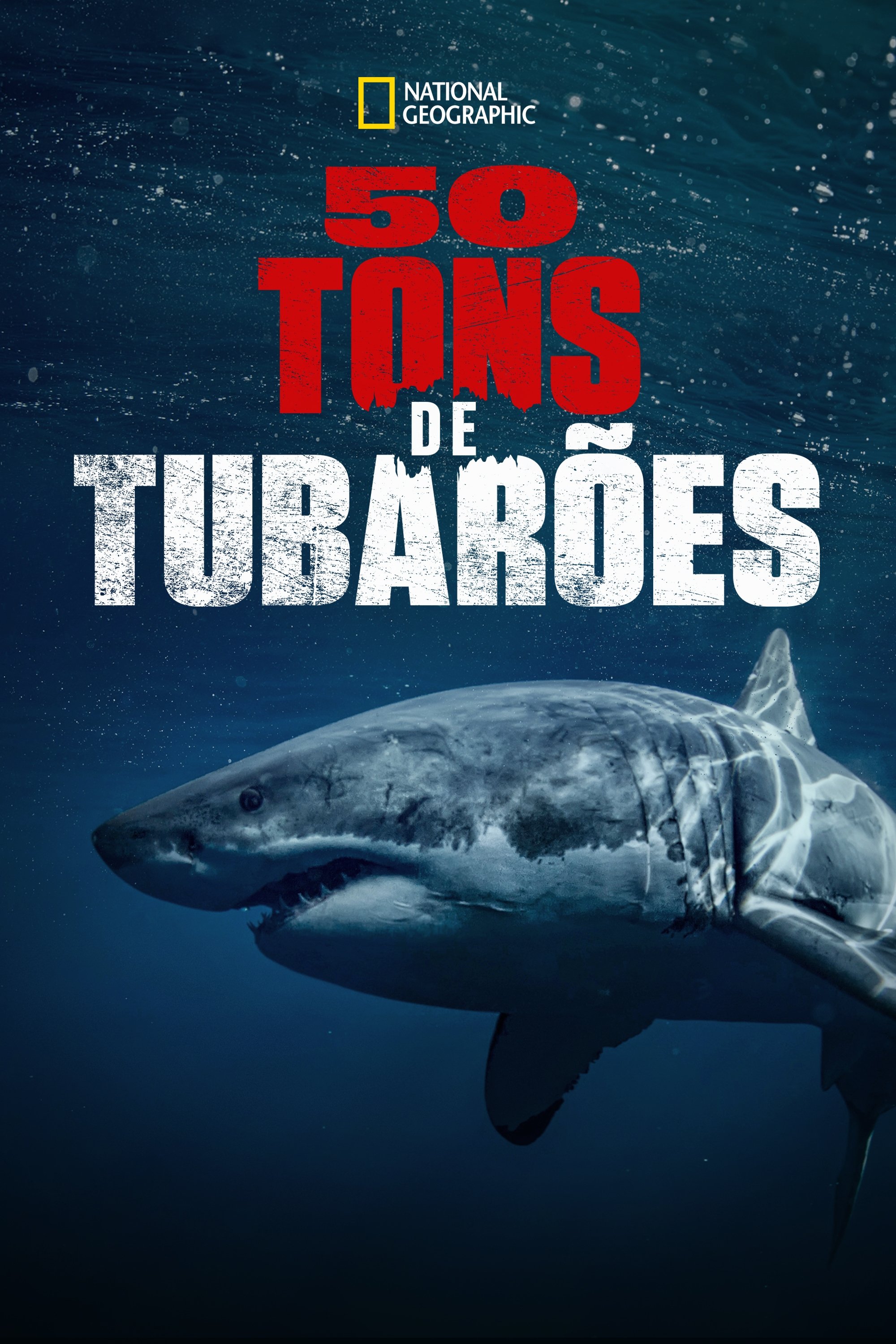 Poster de 50 Tons de Tubarões