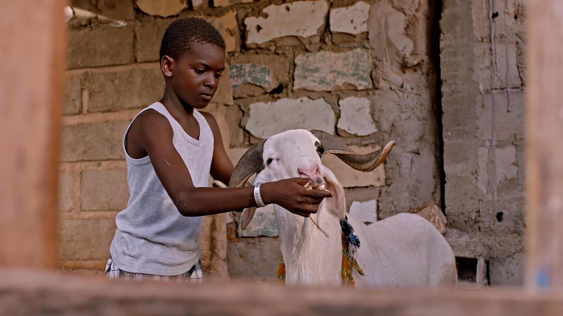 Amath Niane