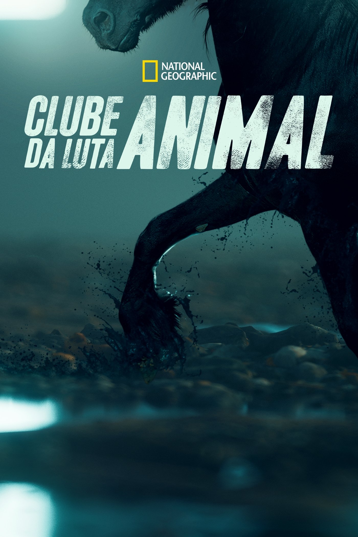 Poster de Clube da Luta Animal