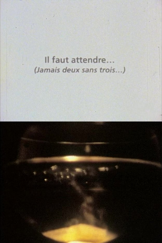 Poster de Il faut attendre (jamais deux sans trois)