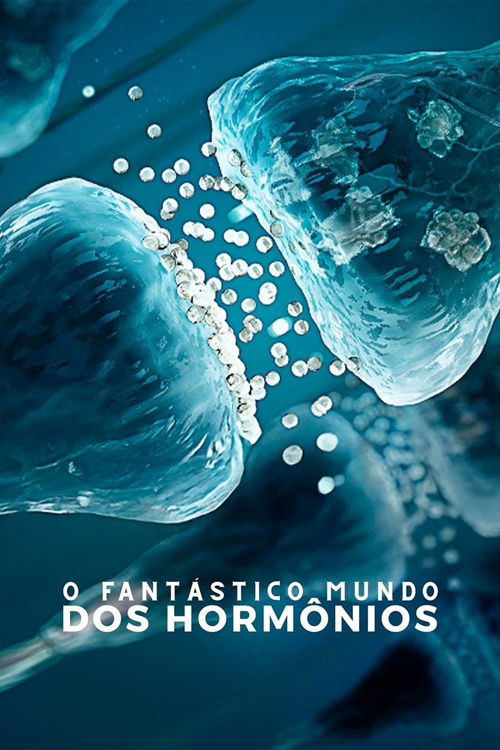 Poster de O Fantástico Mundo dos Hormônios