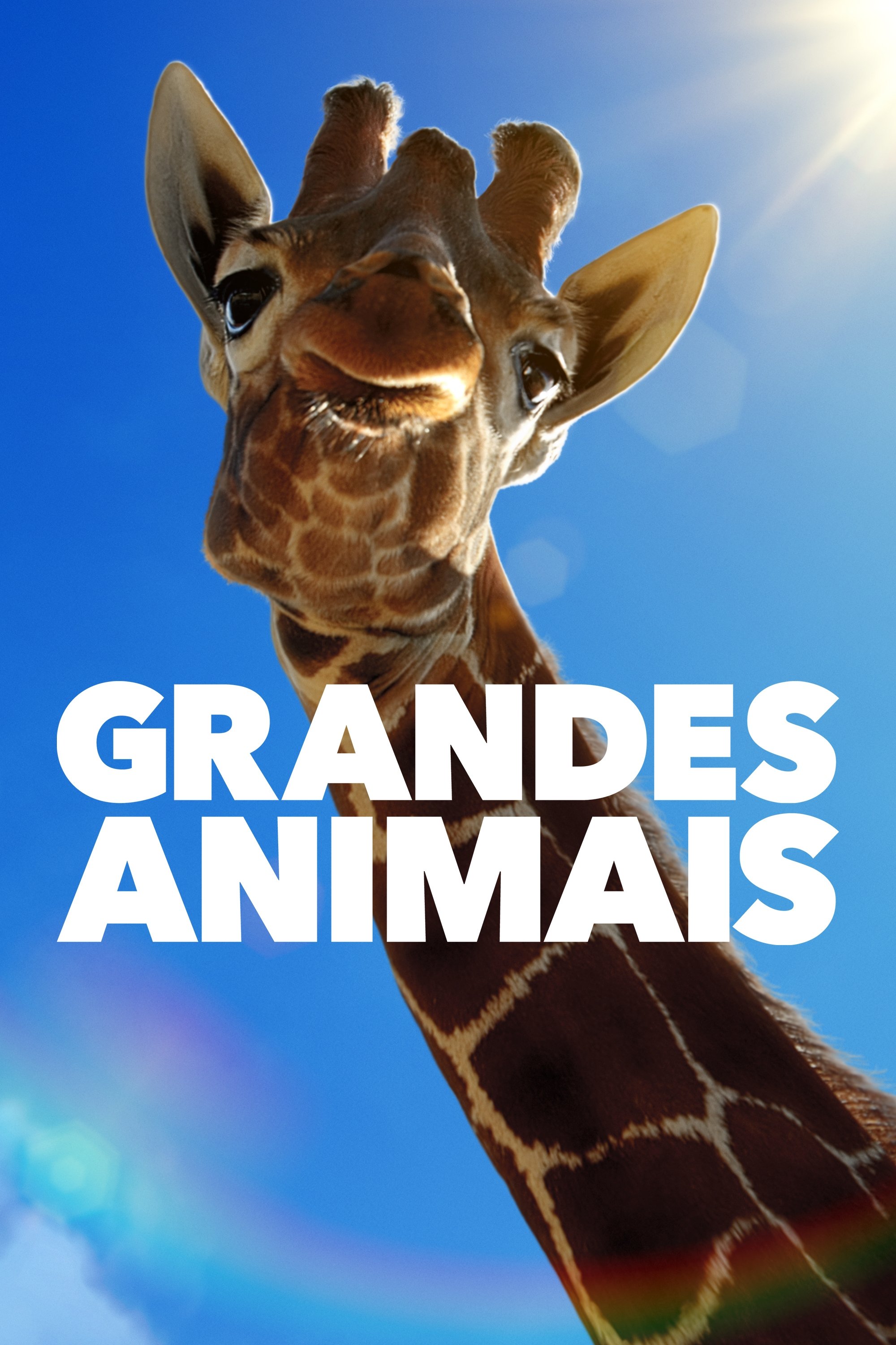 Poster de Grandes Animais