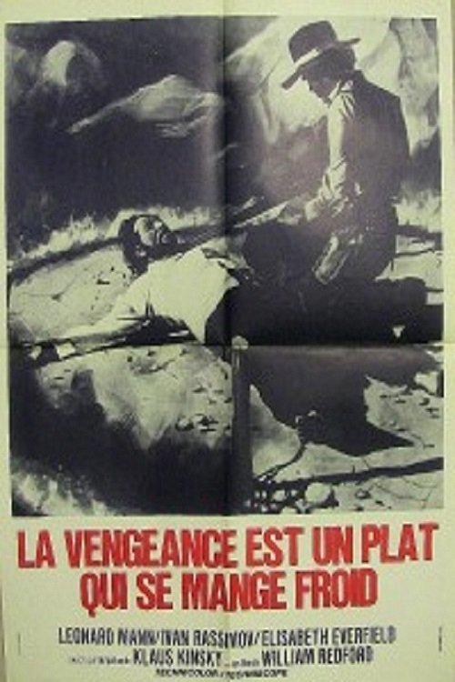 Affiche du film La vengeance est un plat qui se mange froid