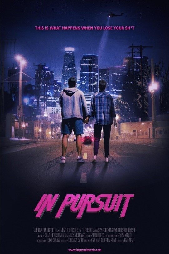 Poster de In Pursuit