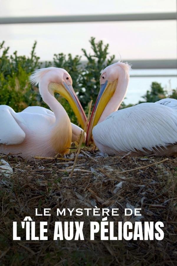 Poster de Die Pelikan-Insel - Geheimnis in Russlands Steppe