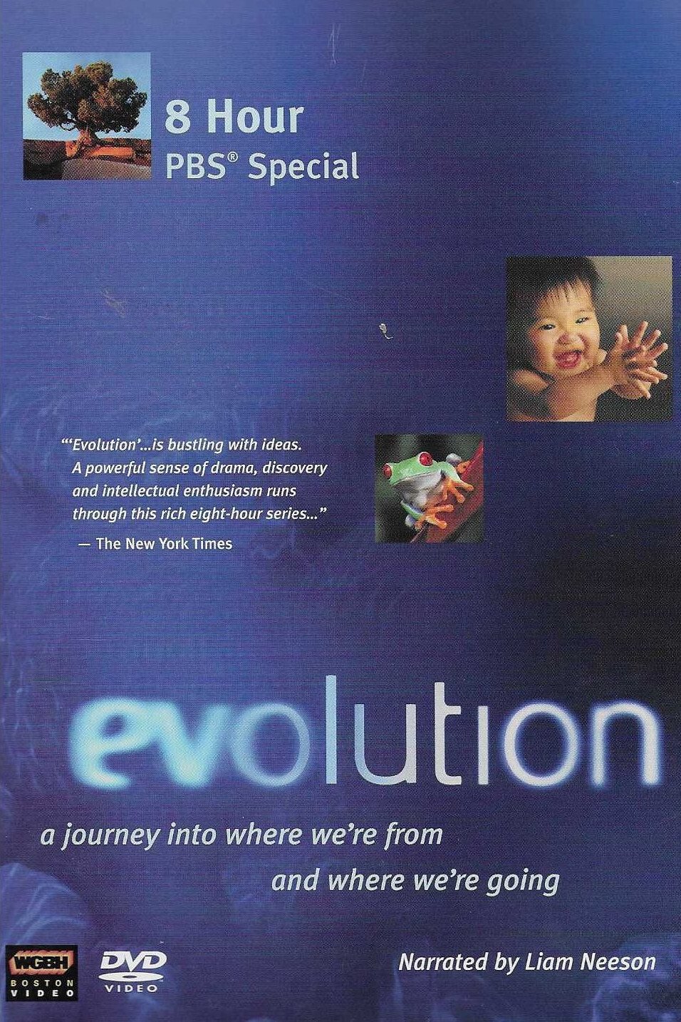 Poster de Evolution