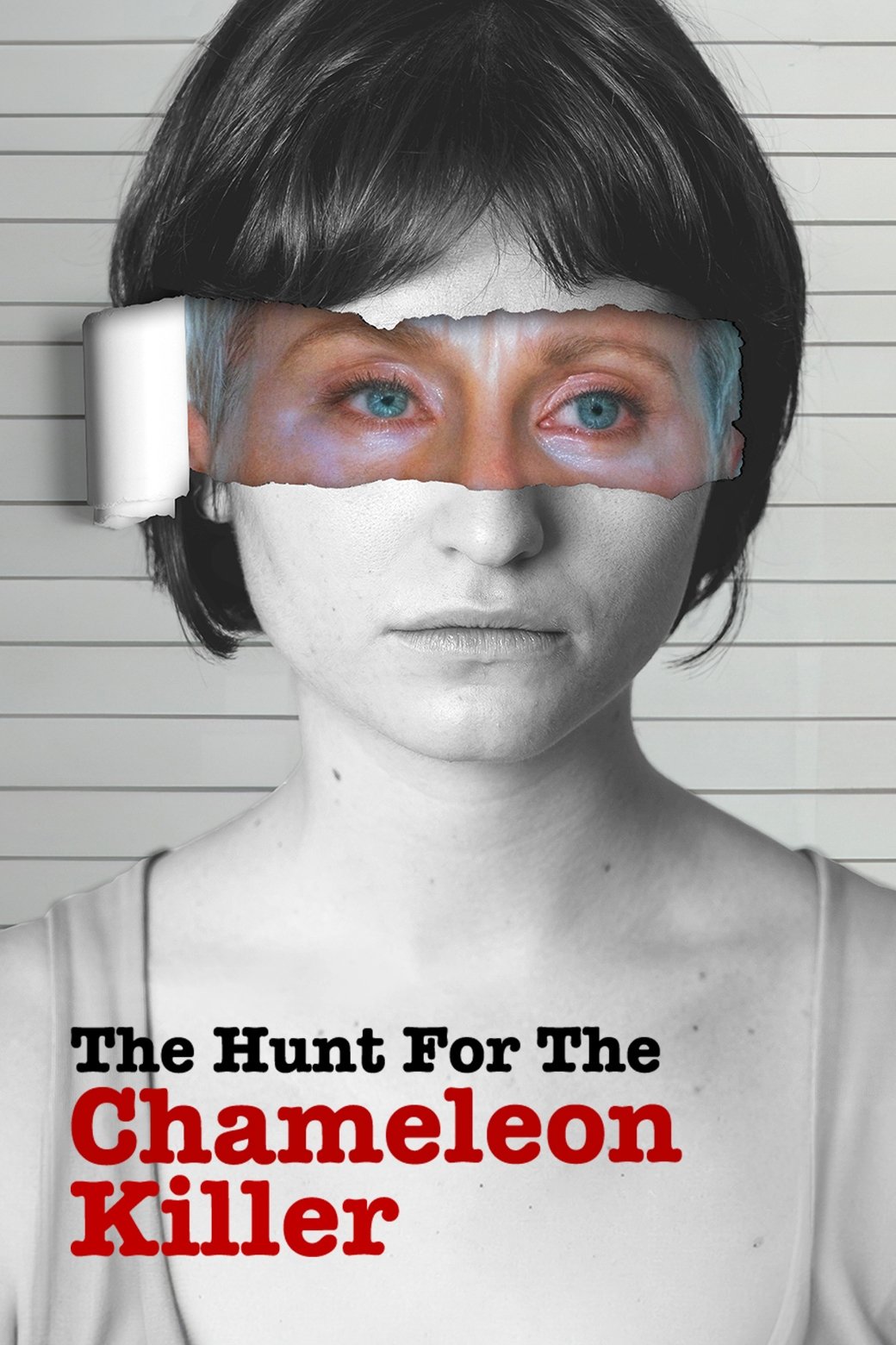 Poster de The Hunt for the Chameleon Killer