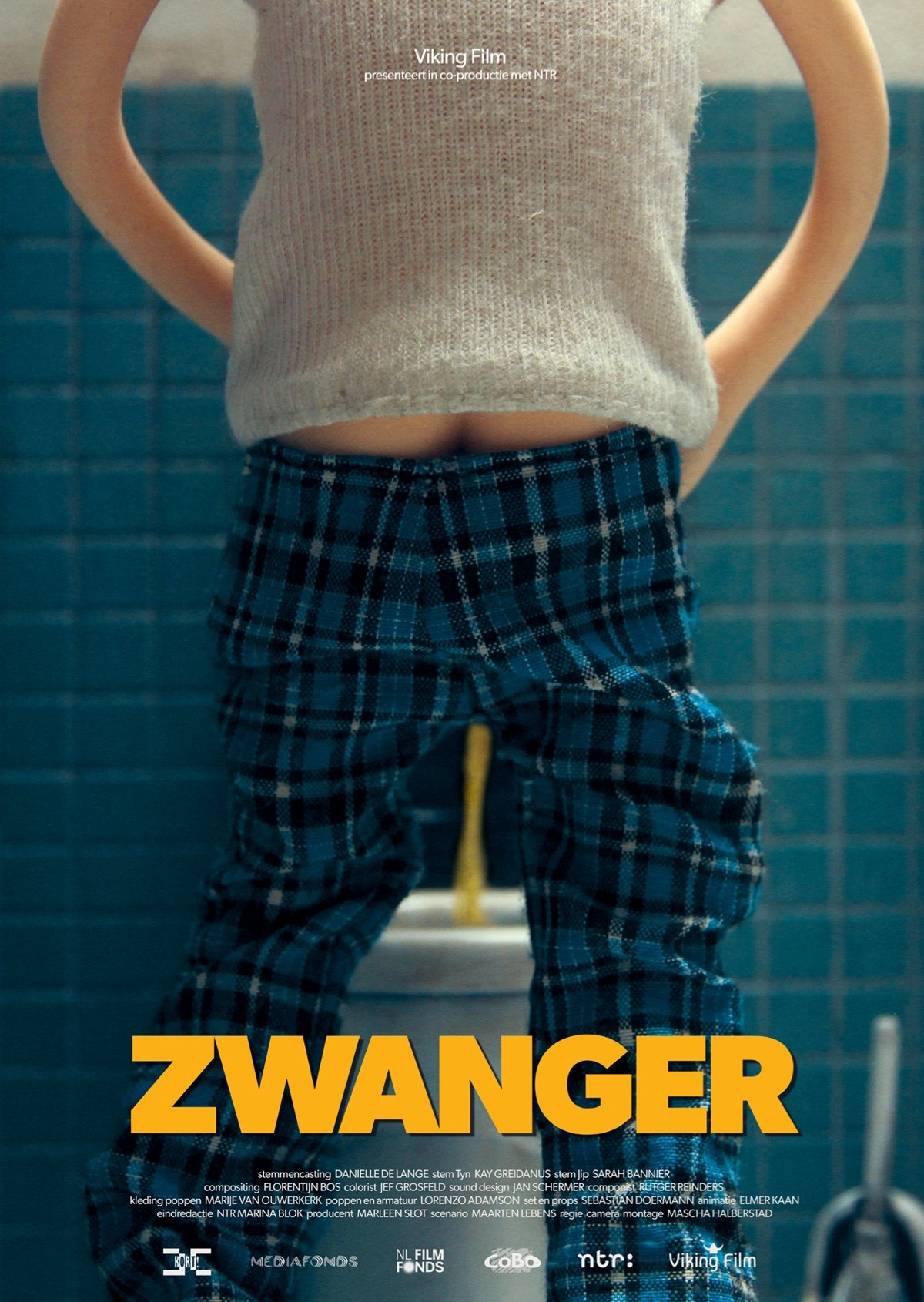 Poster de Zwanger