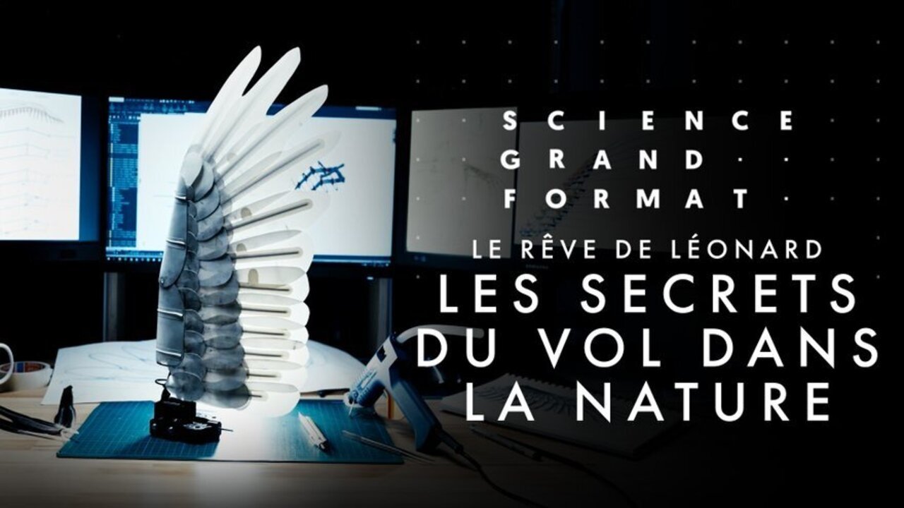 Le rêve de Léonard : Les secrets du vol dans la nature