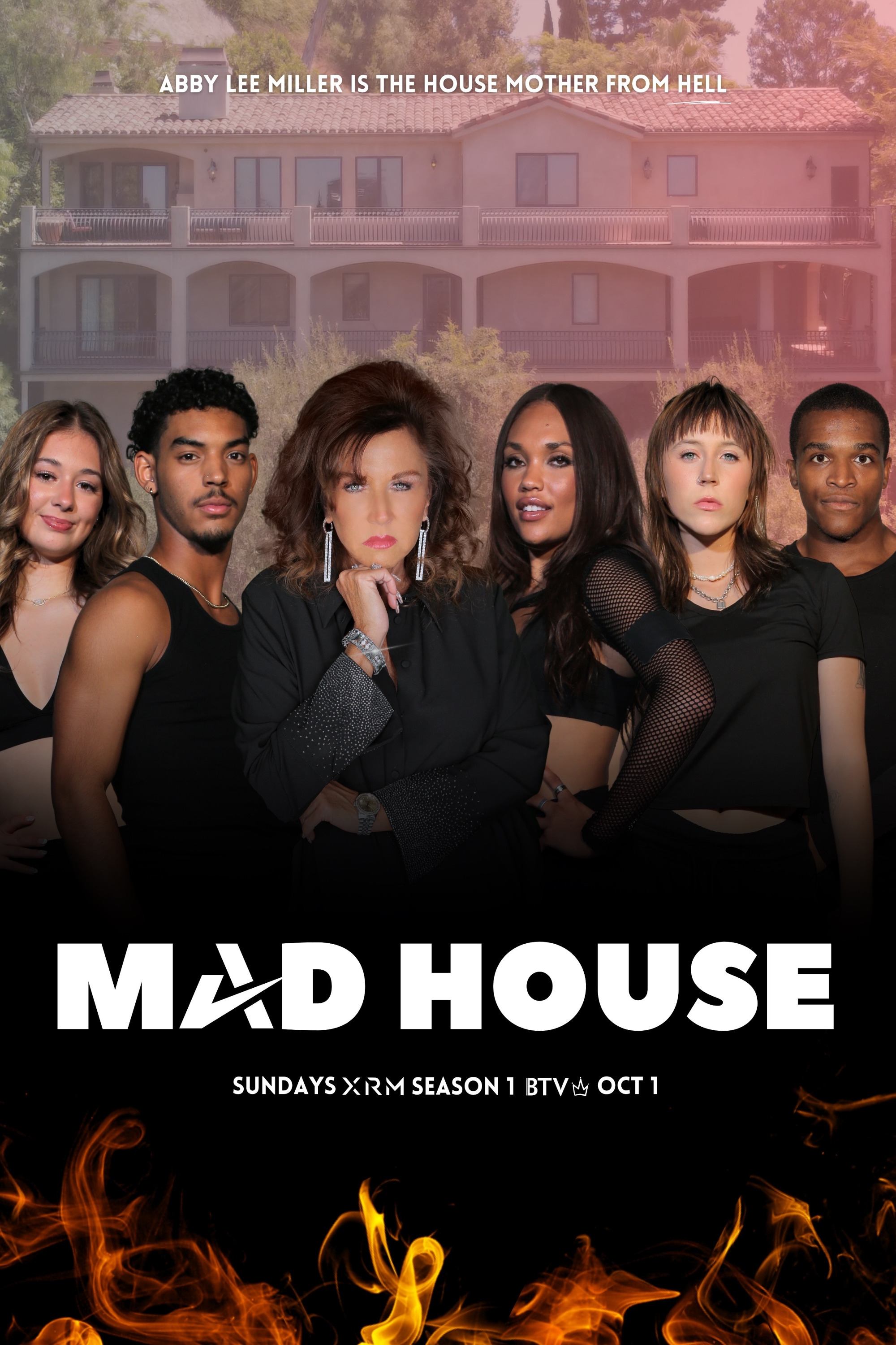 Poster de Mad House