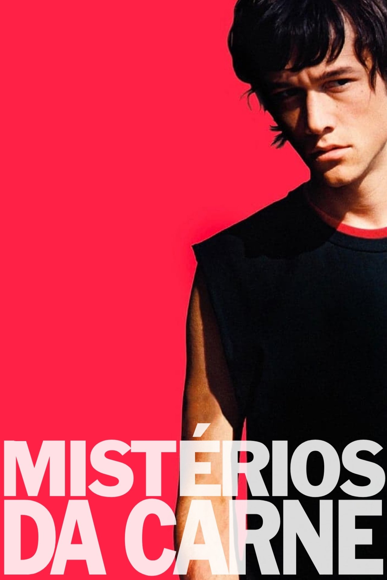 Poster de Mistérios da Carne