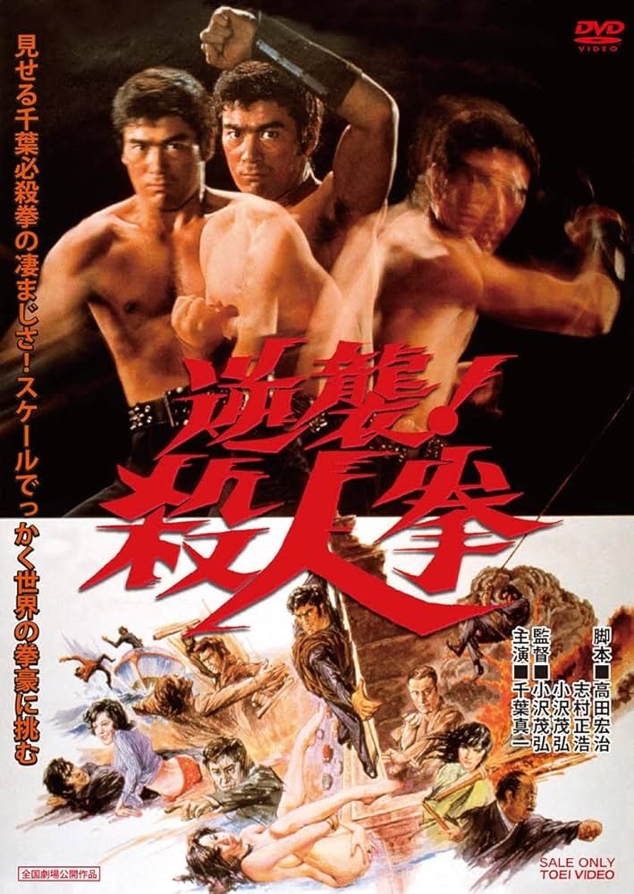 Poster de Street Fighter: A Vingança