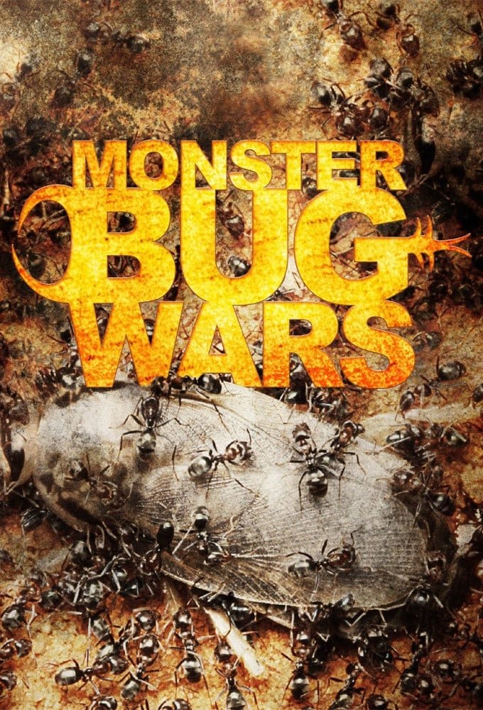 Poster de Monster Bug Wars