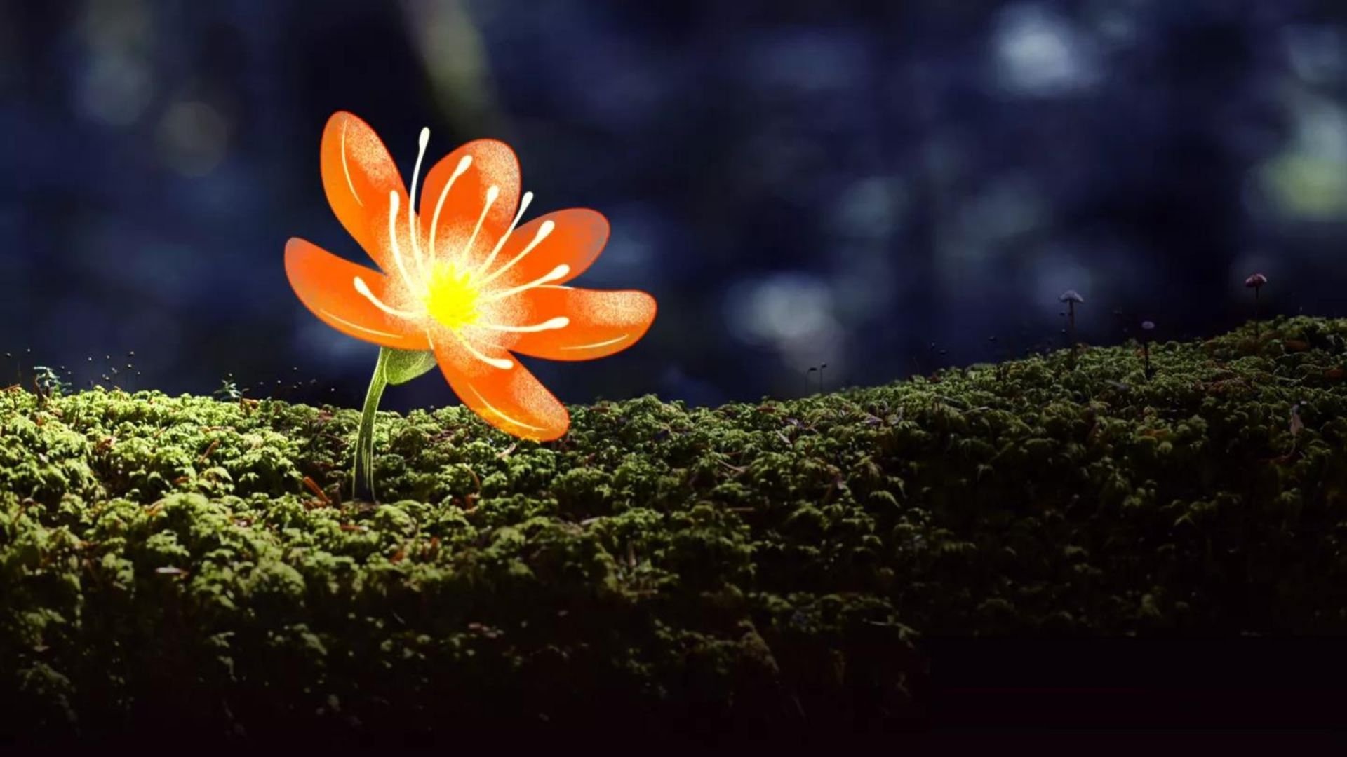 L'Abominable mystère des fleurs