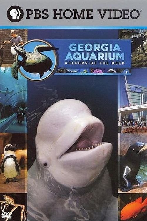 Poster de Georgia Aquarium - Keepers of the Deep