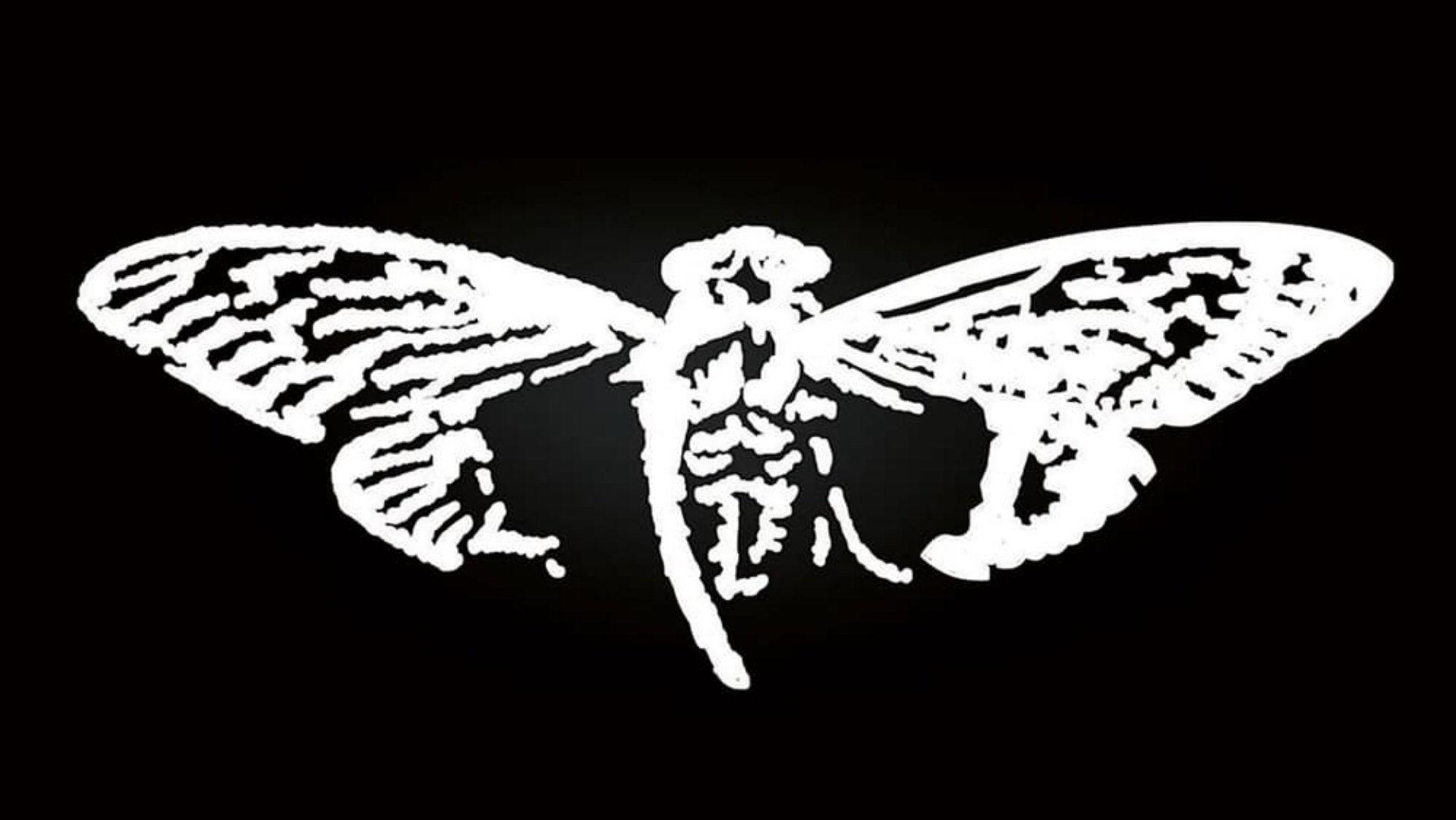 Cicada 3301: An Internet Mystery