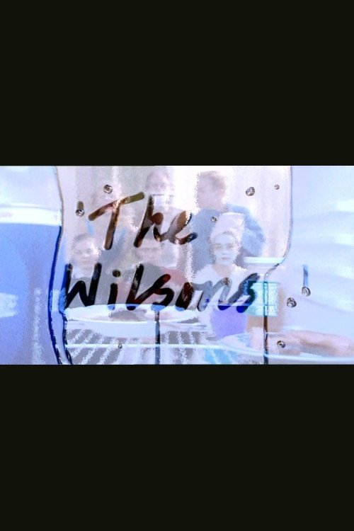 Poster de The Wilsons