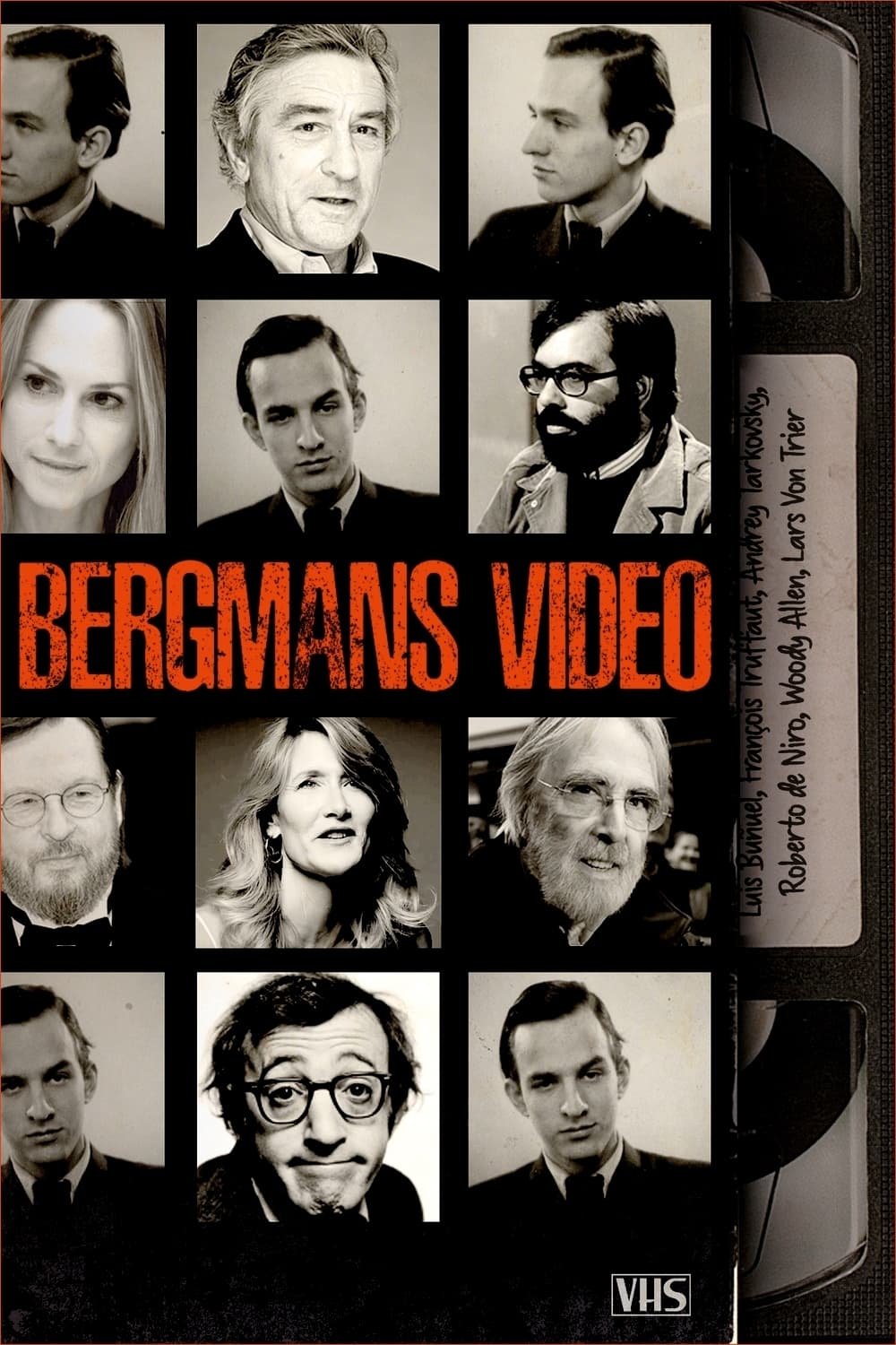 Poster de Bergmans video