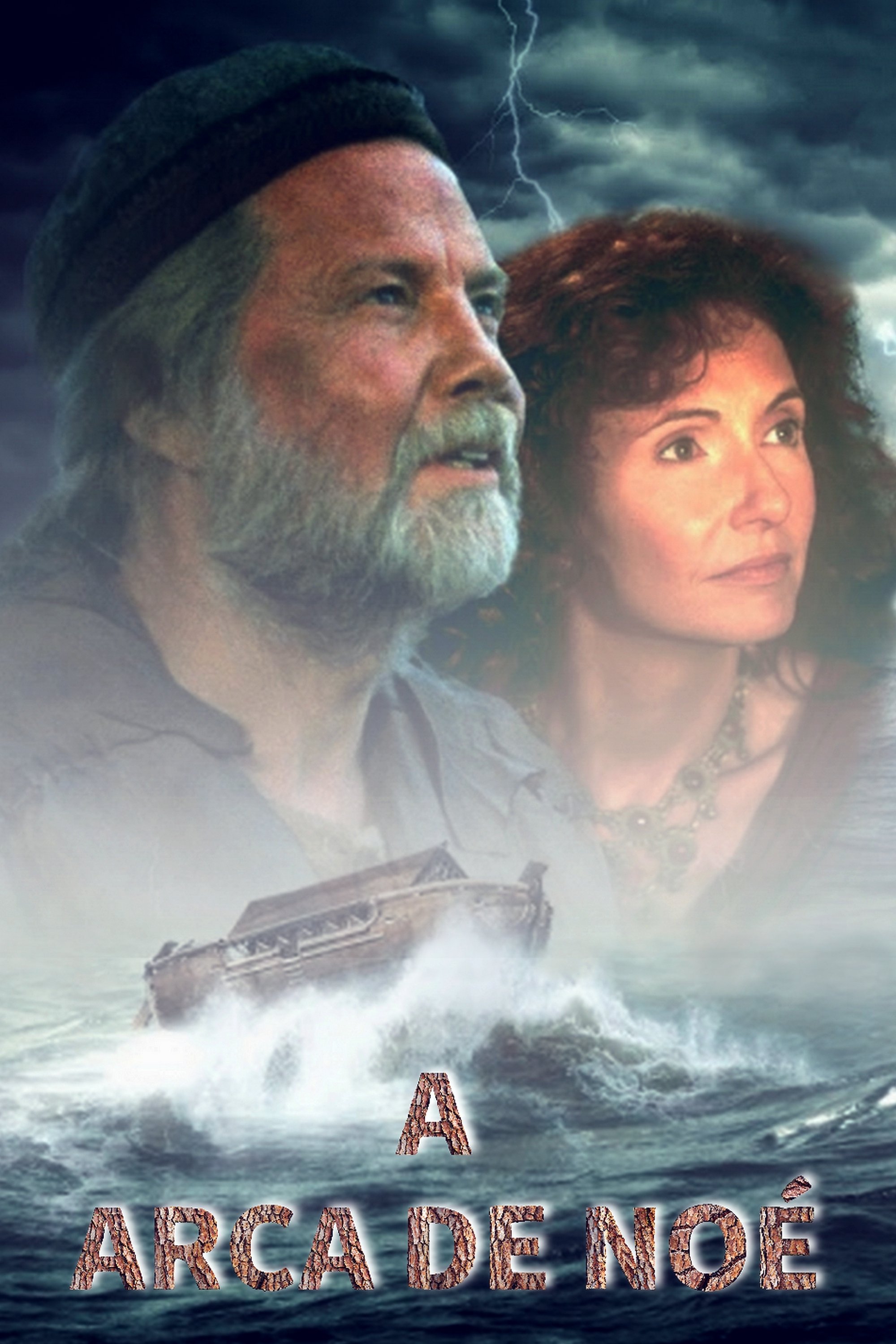Poster de A Arca de Noé