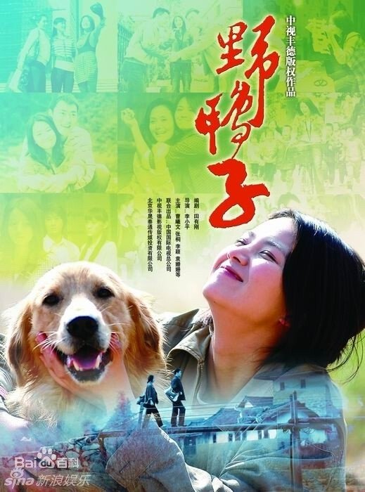Poster de Temporada 1